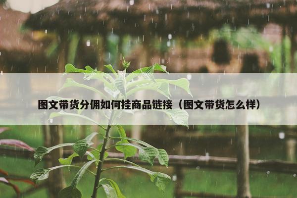 图文带货分佣如何挂商品链接（图文带货怎么样）