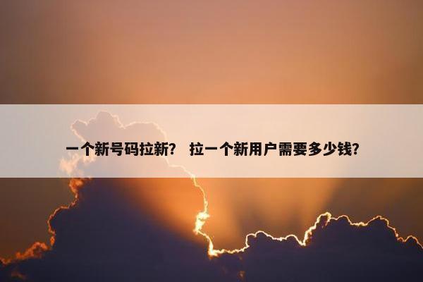 一个新号码拉新？ 拉一个新用户需要多少钱？