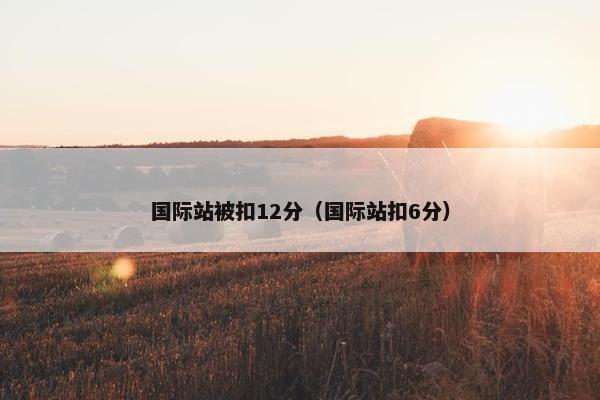 国际站被扣12分（国际站扣6分）
