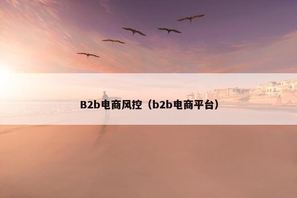 B2b电商风控（b2b电商平台）