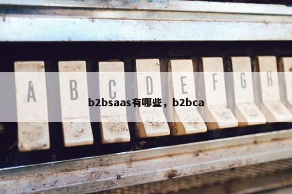 b2bsaas有哪些，b2bca