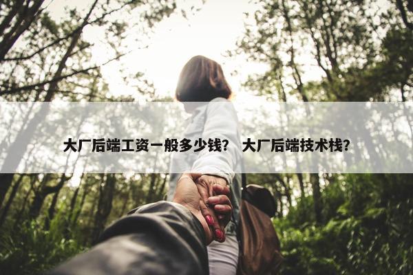 大厂后端工资一般多少钱？ 大厂后端技术栈？