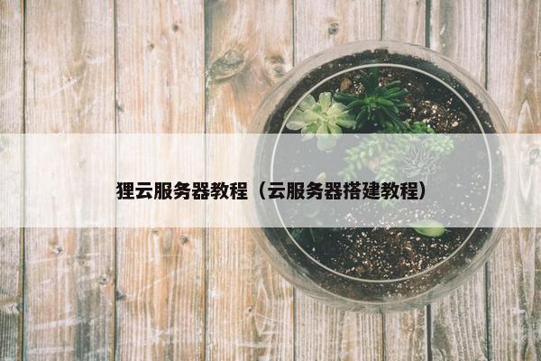 狸云服务器教程（云服务器搭建教程）