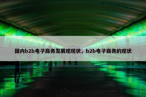 国内b2b电子商务发展现现状，b2b电子商务的现状