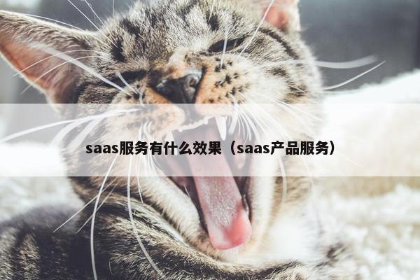 saas服务有什么效果（saas产品服务）