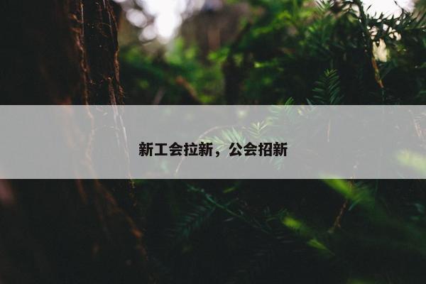 新工会拉新，公会招新