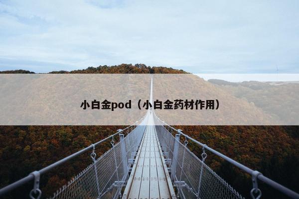 小白金pod（小白金药材作用）