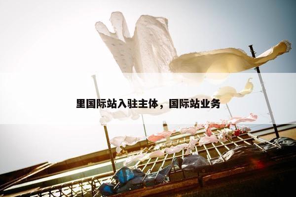 里国际站入驻主体，国际站业务