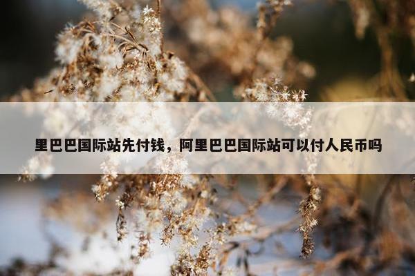 里巴巴国际站先付钱，阿里巴巴国际站可以付人民币吗