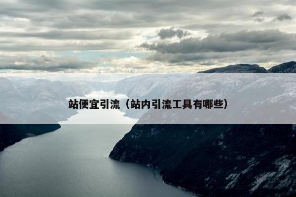 站便宜引流（站内引流工具有哪些）