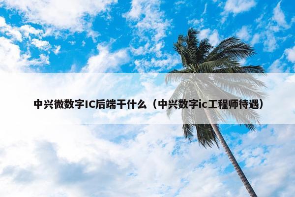 中兴微数字IC后端干什么（中兴数字ic工程师待遇）