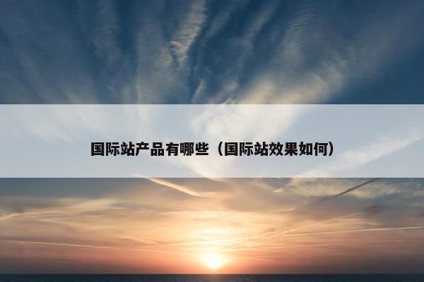 国际站产品有哪些（国际站效果如何）