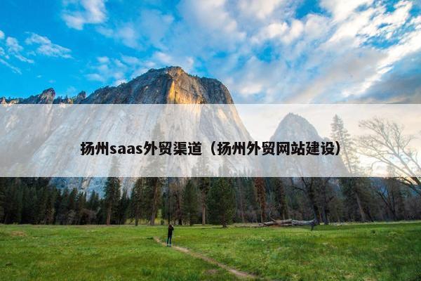 扬州saas外贸渠道（扬州外贸网站建设）