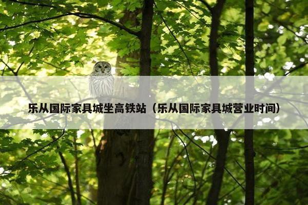 乐从国际家具城坐高铁站（乐从国际家具城营业时间）