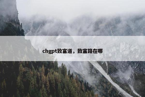chgpt致富道，致富路在哪