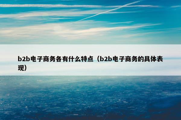 b2b电子商务各有什么特点（b2b电子商务的具体表现）