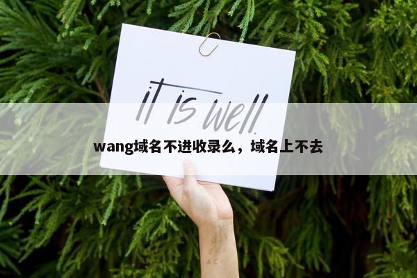 wang域名不进收录么，域名上不去