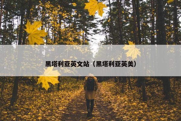 黑塔利亚英文站（黑塔利亚英美）