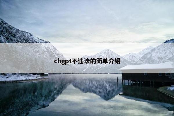 chgpt不违法的简单介绍