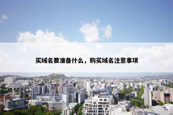 买域名要准备什么，购买域名注意事项