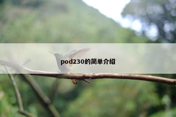 pod230的简单介绍