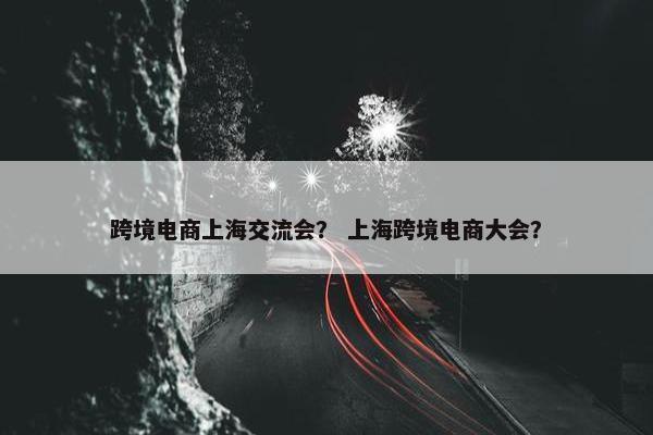 跨境电商上海交流会？ 上海跨境电商大会？