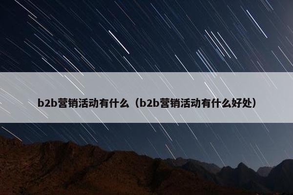 b2b营销活动有什么（b2b营销活动有什么好处）