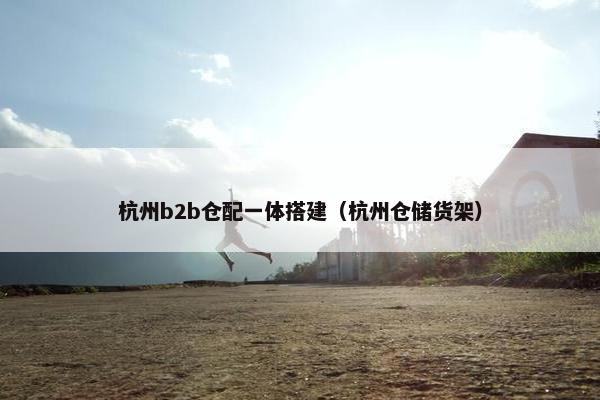 杭州b2b仓配一体搭建（杭州仓储货架）