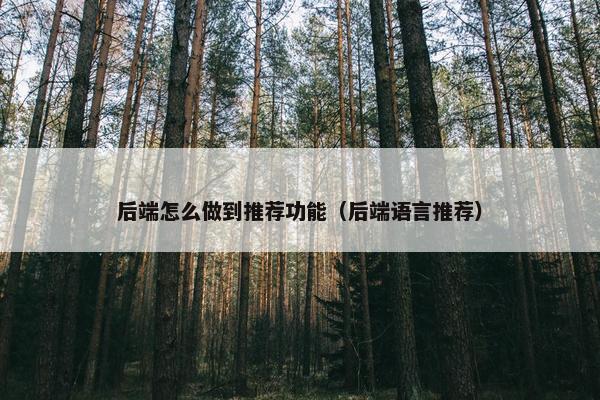 后端怎么做到推荐功能（后端语言推荐）