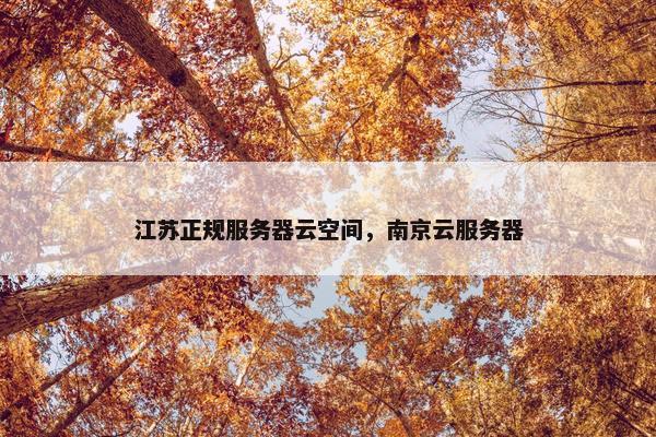 江苏正规服务器云空间，南京云服务器