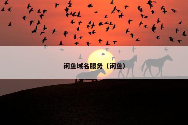 闲鱼域名服务（闲鱼）