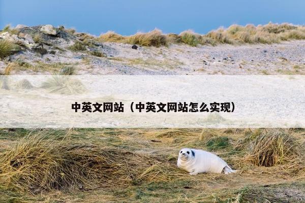 中英文网站（中英文网站怎么实现）