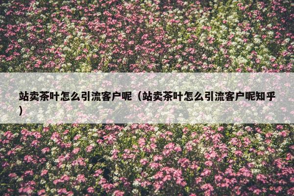 站卖茶叶怎么引流客户呢（站卖茶叶怎么引流客户呢知乎）