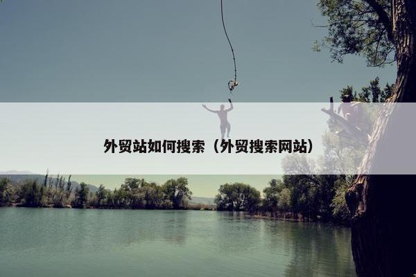 外贸站如何搜索（外贸搜索网站）