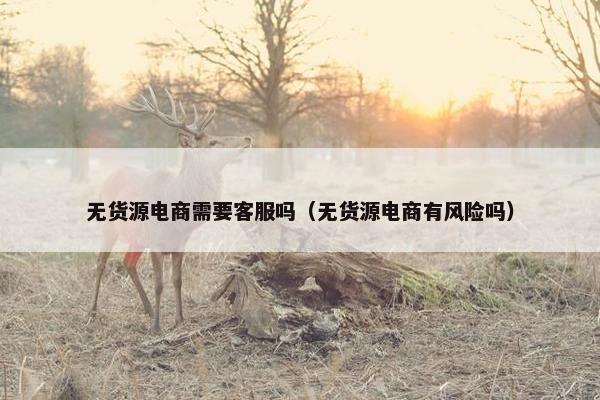 无货源电商需要客服吗（无货源电商有风险吗）