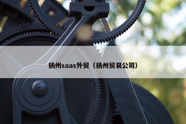 扬州saas外贸（扬州贸易公司）