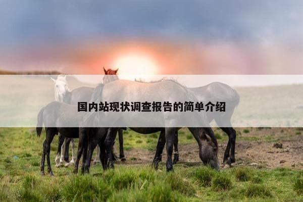国内站现状调查报告的简单介绍
