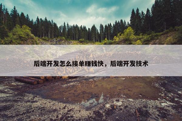 后端开发怎么接单赚钱快，后端开发技术