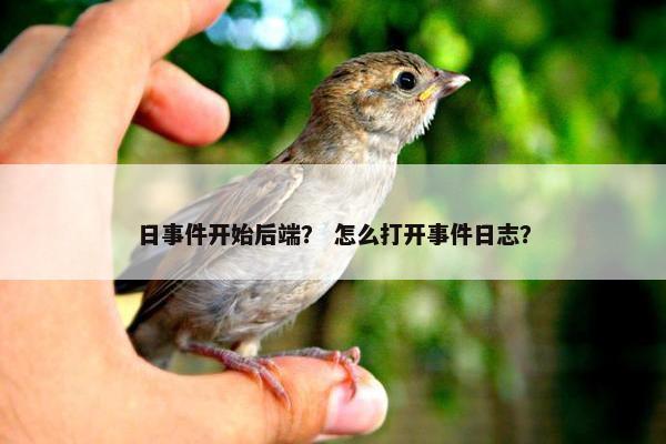 日事件开始后端？ 怎么打开事件日志？