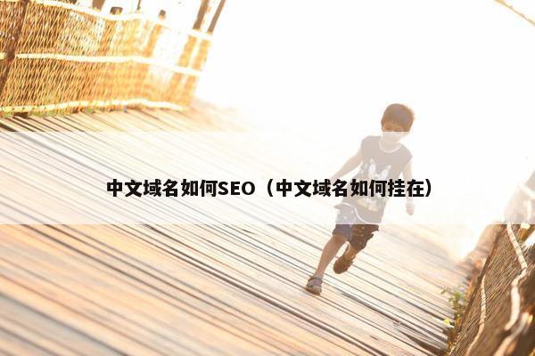 中文域名如何SEO（中文域名如何挂在）
