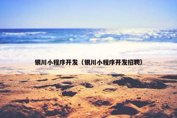 银川小程序开发（银川小程序开发招聘）