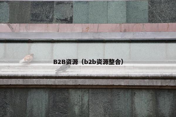 B2B资源（b2b资源整合）