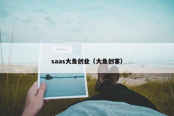 saas大鱼创业（大鱼创客）