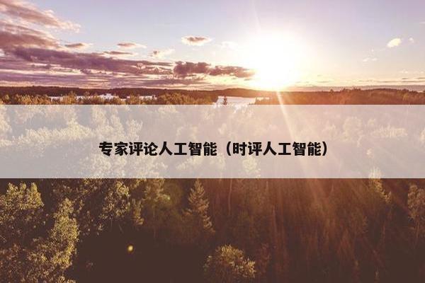 专家评论人工智能（时评人工智能）
