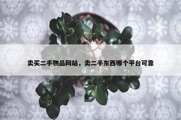 卖买二手物品网站，卖二手东西哪个平台可靠