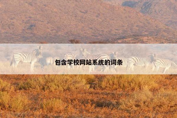 包含学校网站系统的词条
