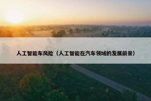 人工智能车风险（人工智能在汽车领域的发展前景）