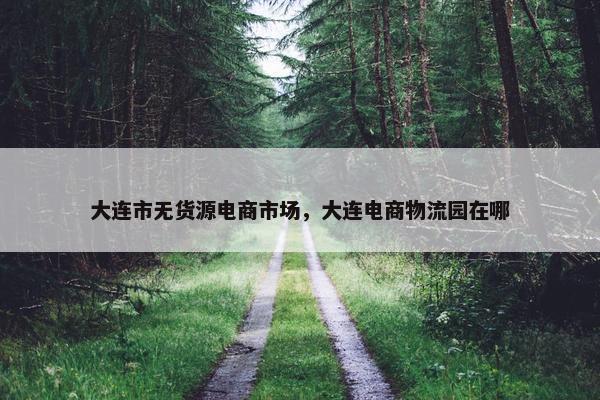 大连市无货源电商市场，大连电商物流园在哪