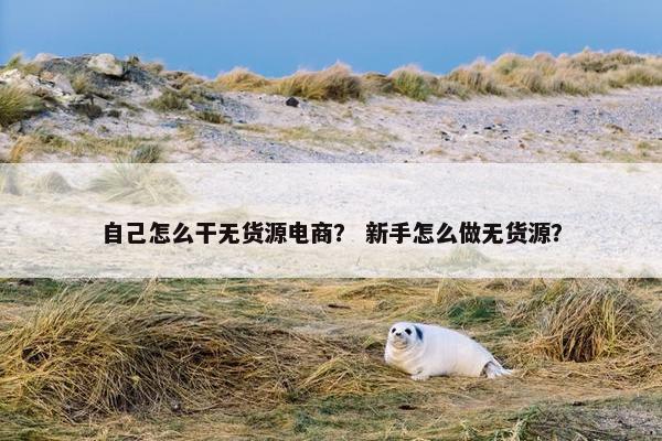 自己怎么干无货源电商？ 新手怎么做无货源？
