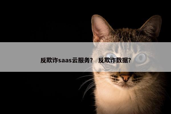 反欺诈saas云服务？ 反欺诈数据？